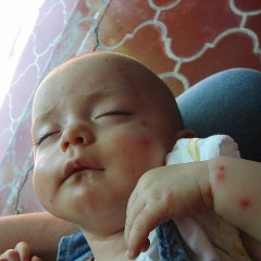 957456975_14d37a12dd_z (1)