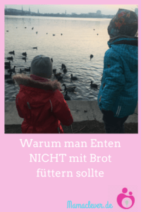 Warum man Enten nicht mit Brot füttern sollte und was man stattdessen nehmen sollte