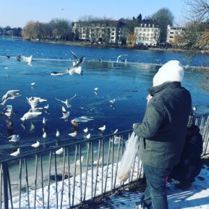 Enten tier- und umweltfreundlich füttern