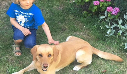Wie Kinder Hunden sicher begegnen