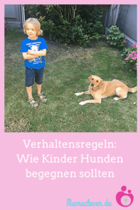 Bisse vermeiden: Wie Kinder Hunden richtig begegnen